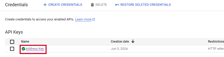 Google Edit API Key.