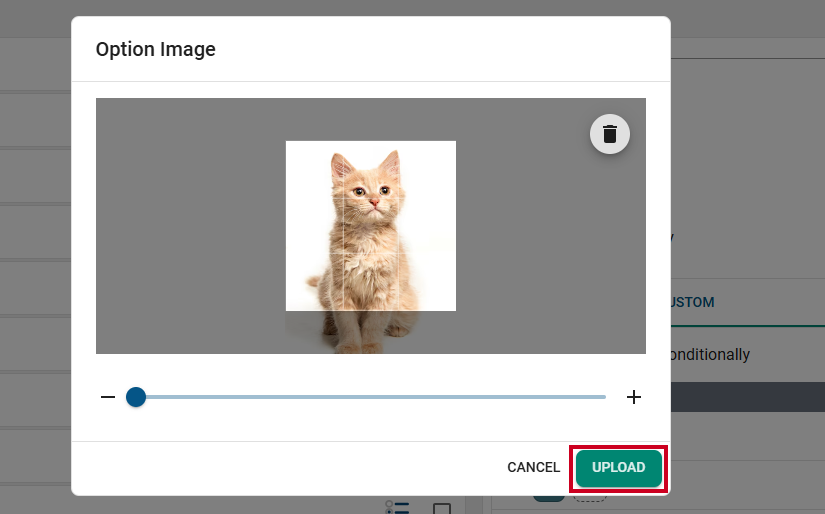 Radio button upload image button.