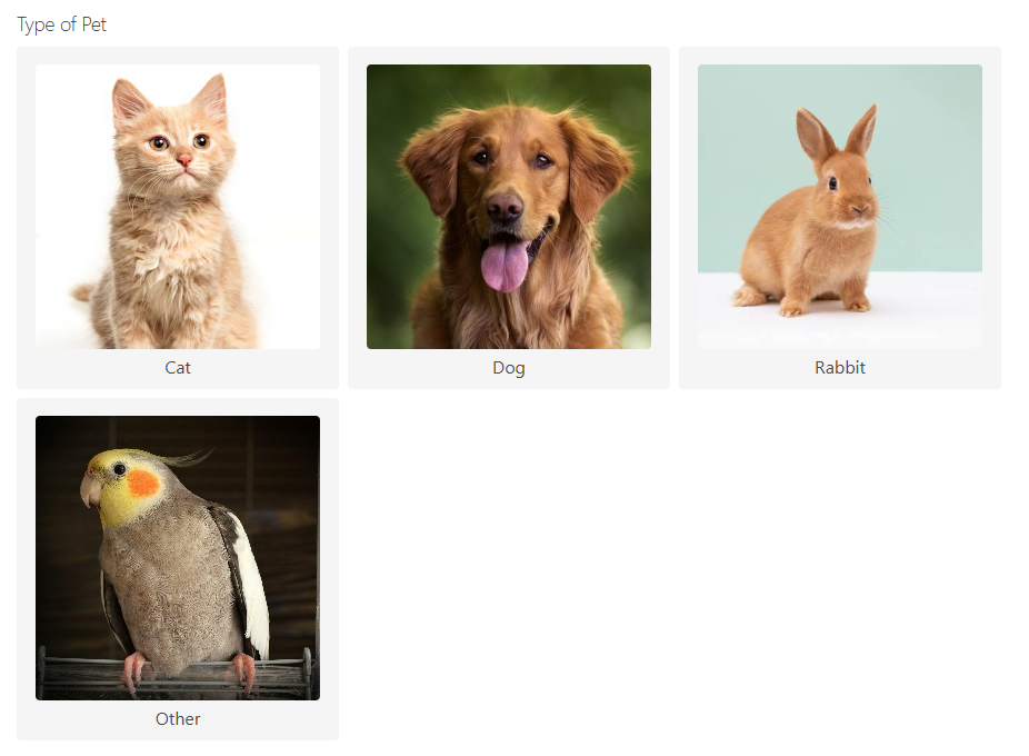 Image Radio Button Example.