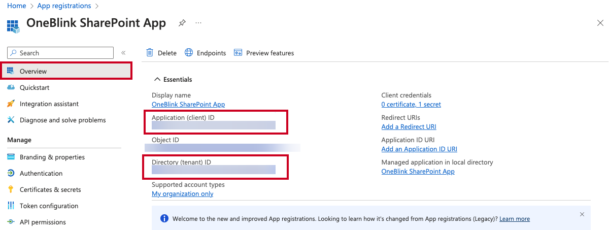 The Overview option in the left navigation menu and the Application (client) ID and Directory (tenant) ID strings.